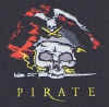 piratelogo2.jpg (28217 byte)